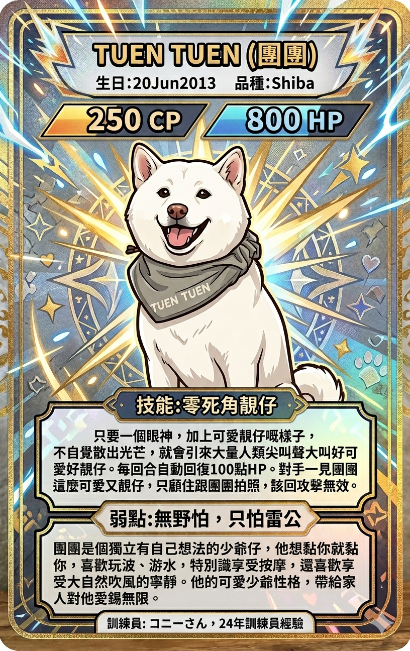 毛孩身份證遊戲卡